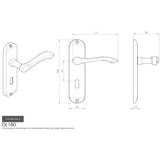 This image is a line drwaing of a Carlisle Brass - Andros Lever on Lock Backplate - Polished Brass available to order from Trade Door Handles in Kendal