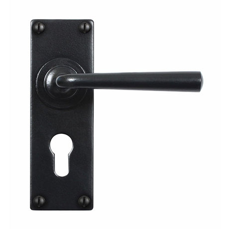 This is an image showing Stonebridge - Padstow Flat Black Lever Handle on Backplate (Euro Lock) available from trade door handles, quick delivery and discounted prices.