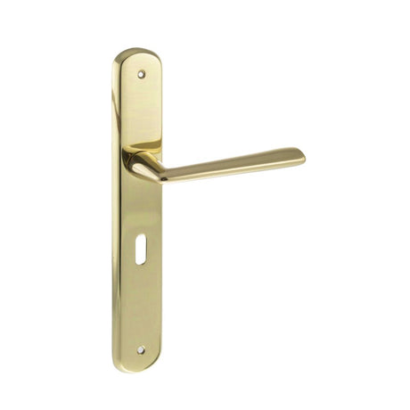This is an image of Forme Brigette Solid Brass Key Lever on Backplate - Polished Brass available to order from Trade Door Handles.