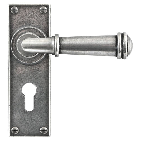 This is an image showing Finesse - Durham Pewter Door Handle on Backplate - Euro Lock 47.5mm available from trade door handles, quick delivery and discounted prices