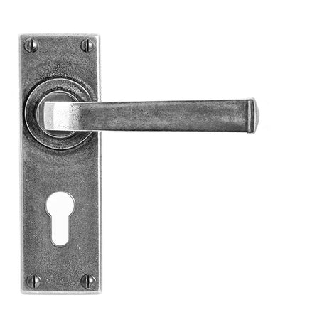 This is an image showing Finesse - Allendale Pewter Door Handle on Backplate - Euro Lock 47.5mm available from trade door handles, quick delivery and discounted prices