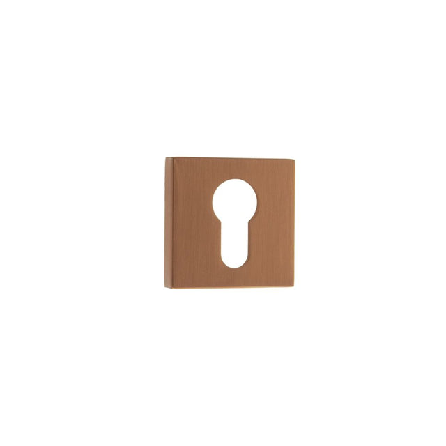 This is an image of Forme Euro Escutcheon on Minimal Square Rose - Urban Satin Copper available to order from Trade Door Handles.