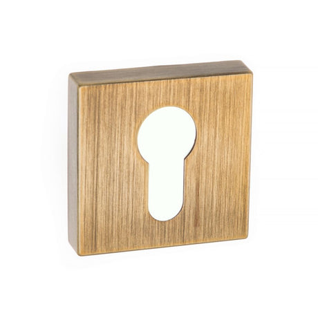 This is an image of Forme Euro Escutcheon on Minimal Square Rose - Yester Bronze available to order from Trade Door Handles.