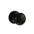 This is an image of Old English Harrogate Solid Brass Mushroom Mortice Knob on Concealed Fix Rose - available to order from Trade Door Handles.