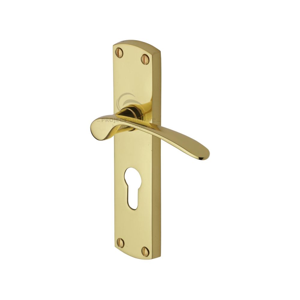 This is an image of a Project Hardware - Door Handle for Euro Profile Plate Luca Design Polished Brass Fin, pr448-pb that is available to order from Trade Door Handles in Kendal.