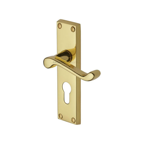 This is an image of a Project Hardware - Door Handle for Euro Profile Plate Malvern Design Polished Brass, pr648-pb that is available to order from Trade Door Handles in Kendal.