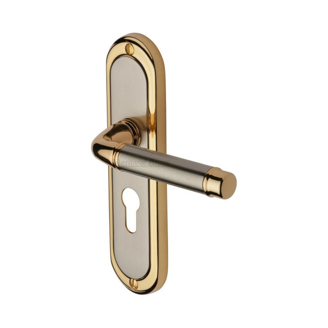 This is an image of a Heritage Brass - Door Handle for Euro Profile Plate Saturn Design Jupiter Finish, sat1048-jp that is available to order from Trade Door Handles in Kendal.