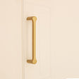 This is an image of Spira Brass - Tulip Pull Handle 165mm Satin Brass   available to order from trade door handles, quick delivery and discounted prices.