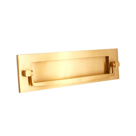 This is an image of Spira Brass - Regency Knocker Postal Plate 250mm Polished Brass   available to order from trade door handles, quick delivery and discounted prices.