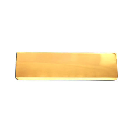 This is an image of Spira Brass - Tidy Flap 300 x 87mm Polished Brass   available to order from trade door handles, quick delivery and discounted prices.