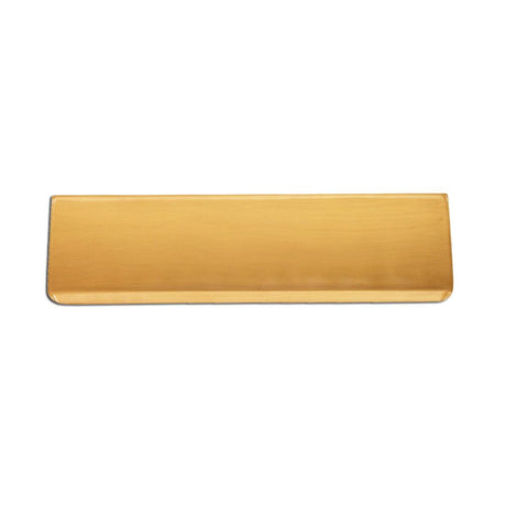 This is an image of Spira Brass - Tidy Flap 300 x 87mm Satin Brass   available to order from trade door handles, quick delivery and discounted prices.