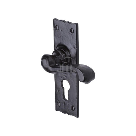 This is an image of a The Tudor Collection - Door Handle for Euro Profile Plate Shropshire Design Blac, tc148 that is available to order from Trade Door Handles in Kendal.