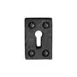 This is an image of a The Tudor Collection - Rectangluar Keyhole Escutcheon Black Iron, tc544 that is available to order from Trade Door Handles in Kendal.