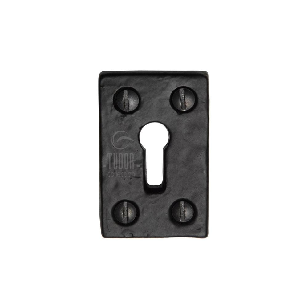 This is an image of a The Tudor Collection - Rectangluar Keyhole Escutcheon Black Iron, tc544 that is available to order from Trade Door Handles in Kendal.