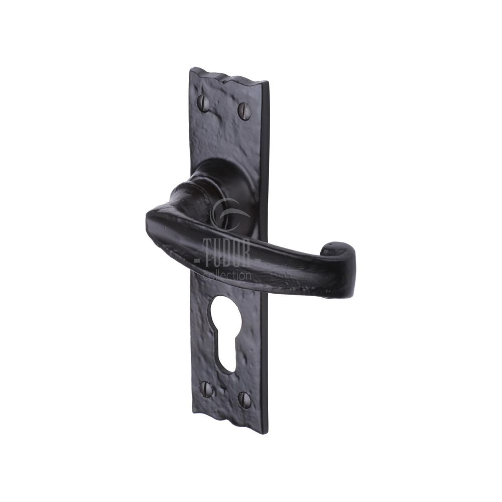 This is an image of a The Tudor Collection - Door Handle for Euro Profile Plate Wellington Design Blac, tc648 that is available to order from Trade Door Handles in Kendal.