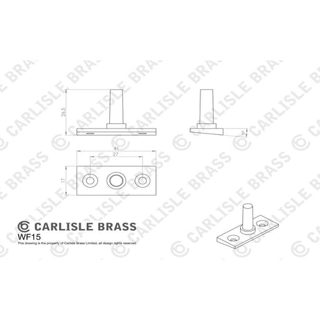 This image is a line drwaing of a Carlisle Brass - EJMA Pin - Satin Chrome available to order from Trade Door Handles in Kendal