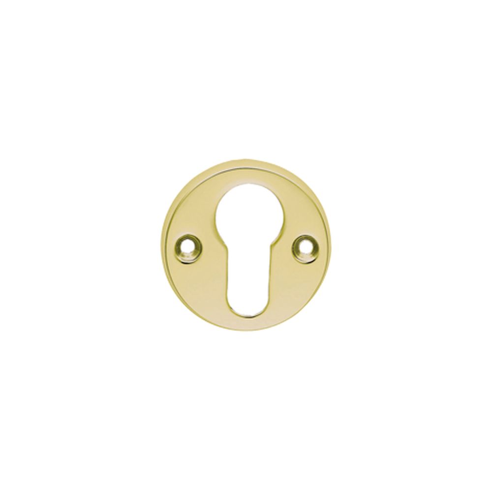 This is an image of a Carlisle Brass - Euro Profile Escutcheon - Polished Brass  that is availble to order from Trade Door Handles in Kendal.