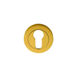 This is an image of a Manital - Euro Profile Escutcheon - Polished Brass that is availble to order from Trade Door Handles in Kendal.