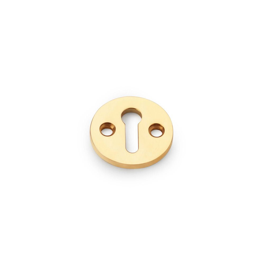 This is an image showing Alexander & Wilks Standard Profile Round Escutcheon - Unlacquered Brass aw380-ub available to order from Trade Door Handles in Kendal, quick delivery and discounted prices.