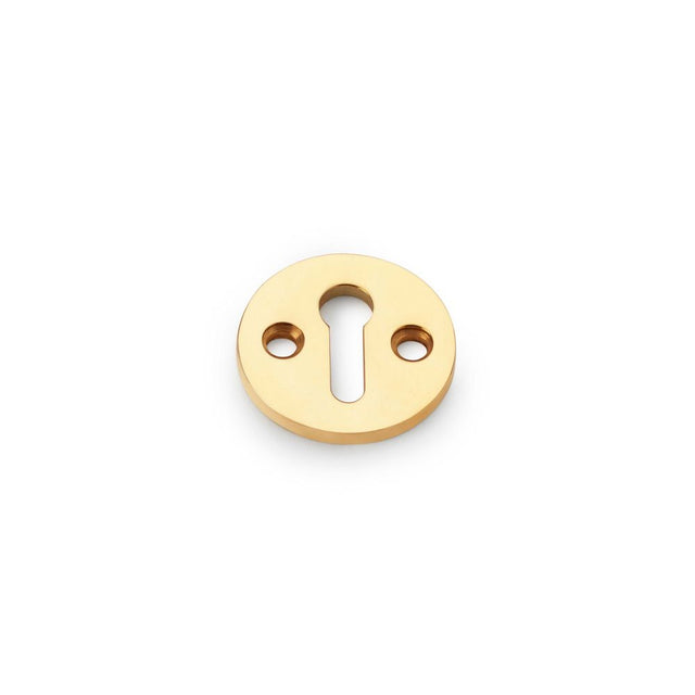 This is an image showing Alexander & Wilks Standard Profile Round Escutcheon - Unlacquered Brass aw380-ub available to order from Trade Door Handles in Kendal, quick delivery and discounted prices.