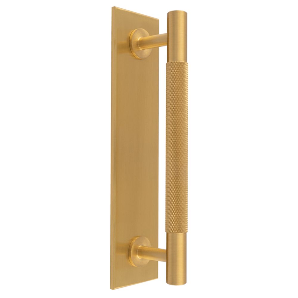 This is an image of a Carlisle Brass - Knurled Pull handle on Backplate that is availble to order from Trade Door Handles in Kendal.