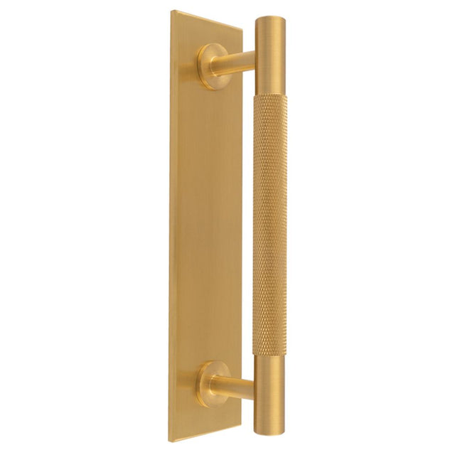 This is an image of a Carlisle Brass - Knurled Pull handle on Backplate that is availble to order from Trade Door Handles in Kendal.