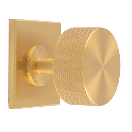 This is an image of a Carlisle Brass - Knurled Radio Knob on Backplate that is availble to order from Trade Door Handles in Kendal.