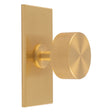 This is an image of a Carlisle Brass - Knurled Radio Knob on Backplate that is availble to order from Trade Door Handles in Kendal.