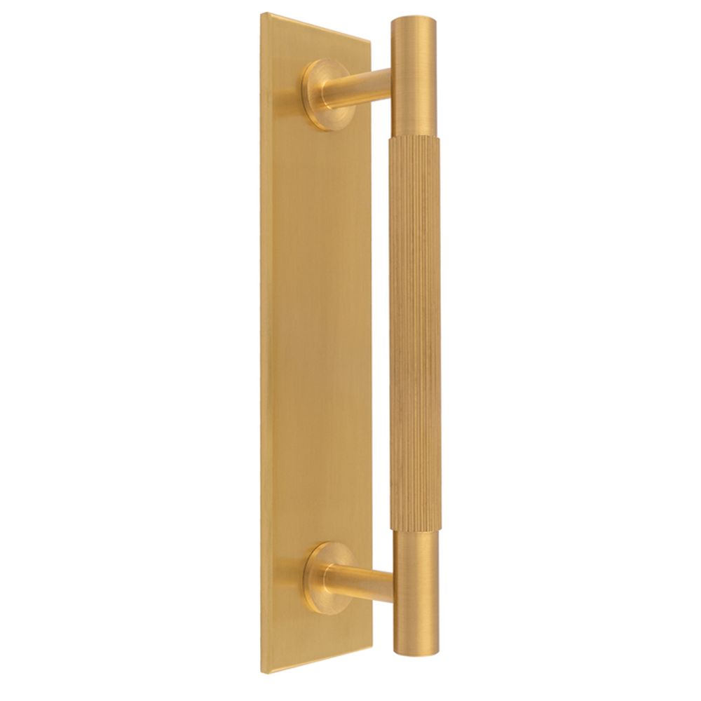 This is an image of a Carlisle Brass - Lines Pull Handles on backplate that is availble to order from Trade Door Handles in Kendal.