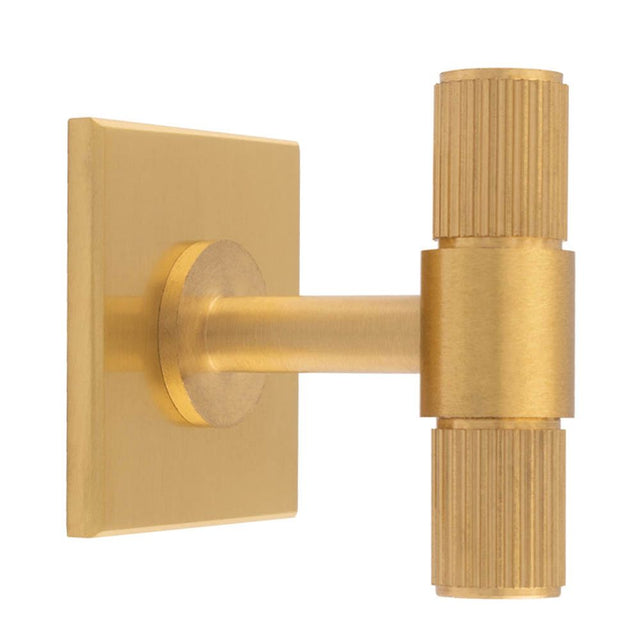 This is an image of a Carlisle Brass - Lines T-Bar Knob on Backplate that is availble to order from Trade Door Handles in Kendal.