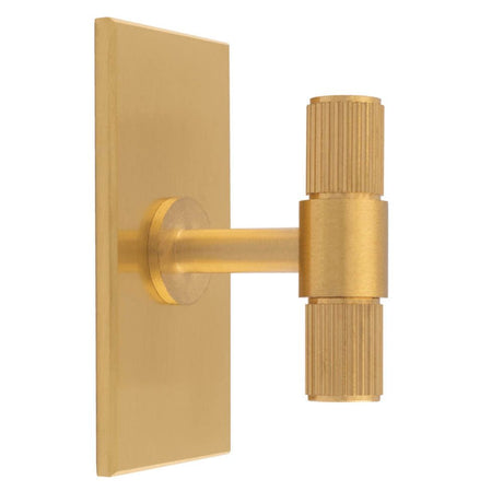 This is an image of a Carlisle Brass - Lines T-Bar Knob on Backplate that is availble to order from Trade Door Handles in Kendal.