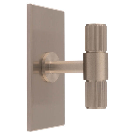 This is an image of a Carlisle Brass - Lines T-Bar Knob on Backplate that is availble to order from Trade Door Handles in Kendal.