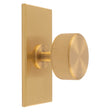 This is an image of a Carlisle Brass - Lines Radio Knob on Backplate that is availble to order from Trade Door Handles in Kendal.