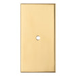 This is an image of a Carlisle Brass - Rectangular Cupboard knob Backplate that is availble to order from Trade Door Handles in Kendal.