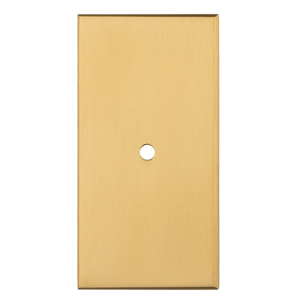 This is an image of a Carlisle Brass - Rectangular Cupboard knob Backplate that is availble to order from Trade Door Handles in Kendal.