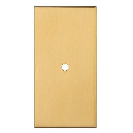 This is an image of a Carlisle Brass - Rectangular Cupboard knob Backplate that is availble to order from Trade Door Handles in Kendal.