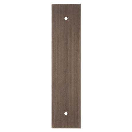 Carlisle Brass Cabinet Hardware Antique brass / Cabinet Pull Handle on Backplate / 168 x 40mm Carlisle Brass - Cupboard Pull backplates - 168 x 40mm - Antique Brass