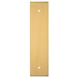 Carlisle Brass Cabinet Hardware Satin Brass / Cabinet Pull Handle on Backplate / 168 x 40mm Carlisle Brass - Cupboard Pull backplates - 168 x 40mm - Satin Brass