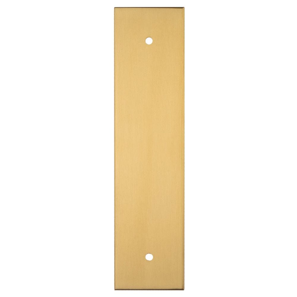 Carlisle Brass Cabinet Hardware Satin Brass / Cabinet Pull Handle on Backplate / 168 x 40mm Carlisle Brass - Cupboard Pull backplates - 168 x 40mm - Satin Brass