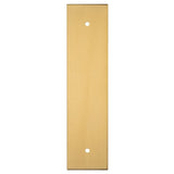 Carlisle Brass Cabinet Hardware Satin Brass / Cabinet Pull Handle on Backplate / 168 x 40mm Carlisle Brass - Cupboard Pull backplates - 168 x 40mm - Satin Brass