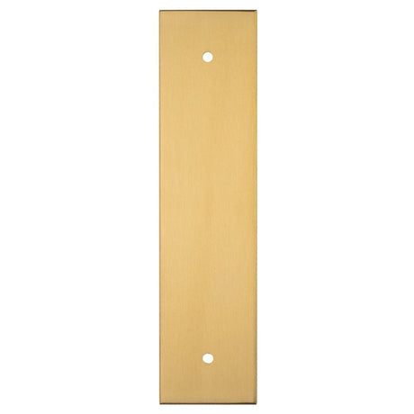 Carlisle Brass Cabinet Hardware Satin Brass / Cabinet Pull Handle on Backplate / 168 x 40mm Carlisle Brass - Cupboard Pull backplates - 168 x 40mm - Satin Brass
