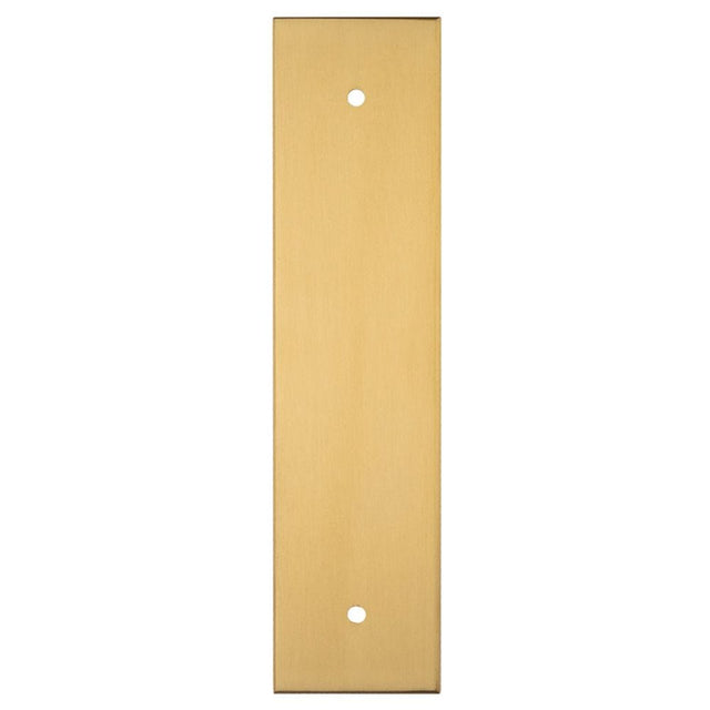 Carlisle Brass Cabinet Hardware Satin Brass / Cabinet Pull Handle on Backplate / 168 x 40mm Carlisle Brass - Cupboard Pull backplates - 168 x 40mm - Satin Brass