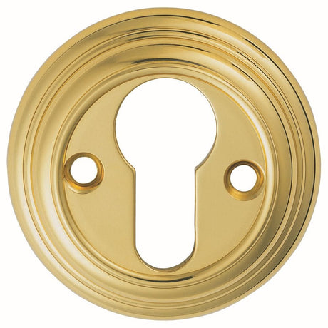 Carlisle Brass Door Furniture Polished Brass / Euro Profile Escutcheons Carlisle Brass - Delamain Euro Profile Escutcheon - Polished Brass
