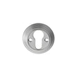 Carlisle Brass Door Furniture Satin Chrome / Euro Profile Escutcheons Carlisle Brass - Delamain Euro Profile Escutcheon - Satin Chrome