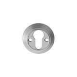 Carlisle Brass Door Furniture Satin Chrome / Euro Profile Escutcheons Carlisle Brass - Delamain Euro Profile Escutcheon - Satin Chrome