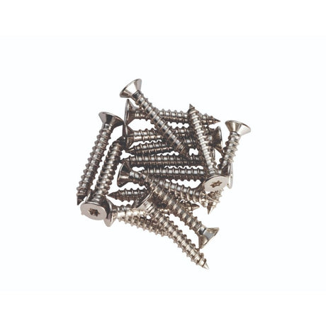 Carlisle Brass Hinges N/A / Hinge Accessories Carlisle Brass - Hinge Metal Pack (16) M6 x 10mm Small Head PZ2