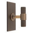 Carlisle Brass Cabinet Hardware Antique brass / Cabinet T-Pulls Carlisle Brass - Knurled T-Bar on backplate