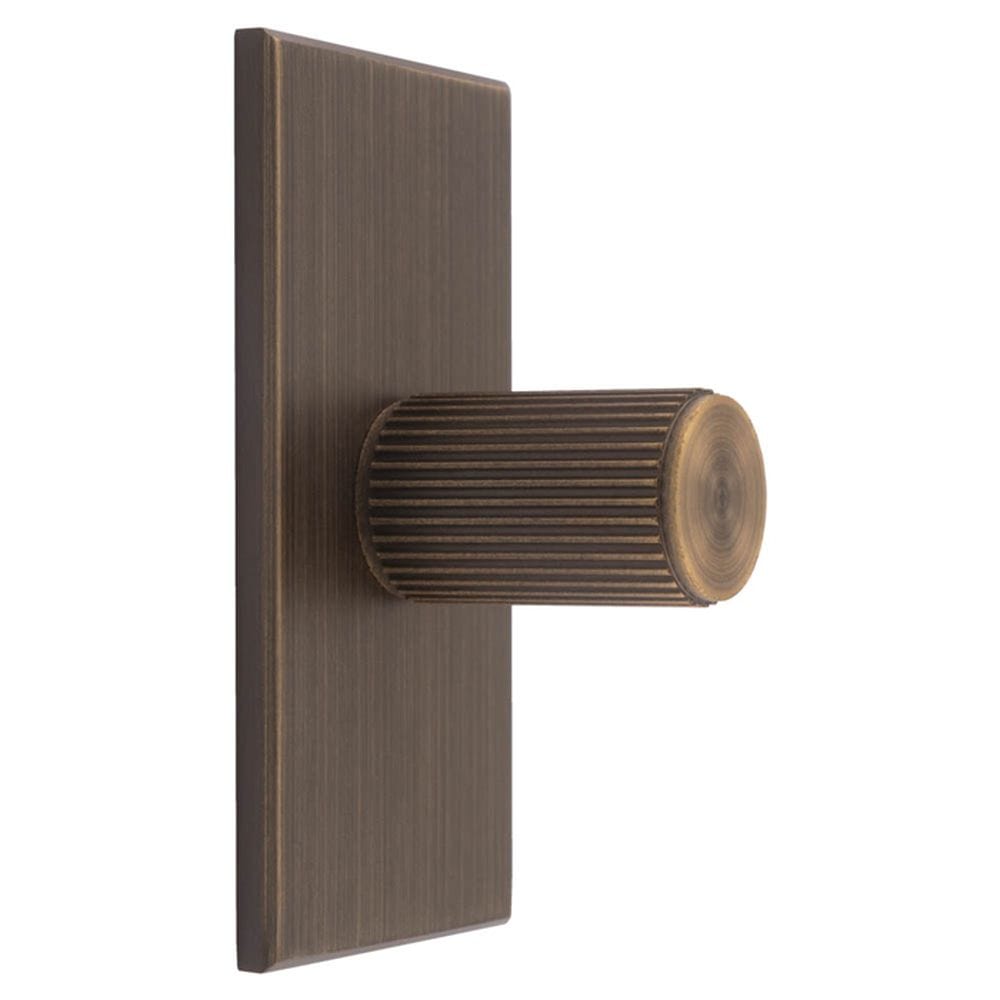 Carlisle Brass Cabinet Hardware Antique brass / Cabinet Knob on Backplate Carlisle Brass - Lines Cylinder Knob on Backplate