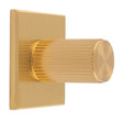 Carlisle Brass Cabinet Hardware Satin Brass / Cabinet Knob on Backplate Carlisle Brass - Lines Cylinder Knob on Backplate