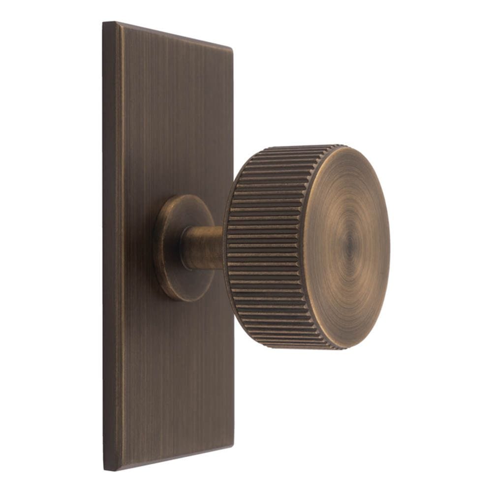 Carlisle Brass Cabinet Hardware Antique brass / Cabinet Knob on Backplate Carlisle Brass - Lines Radio Knob on Backplate